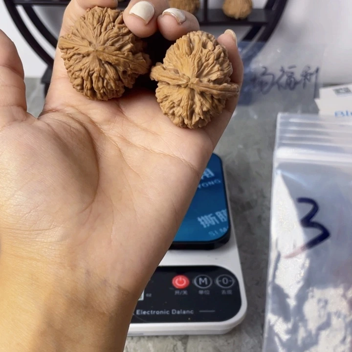 3号白狮子。