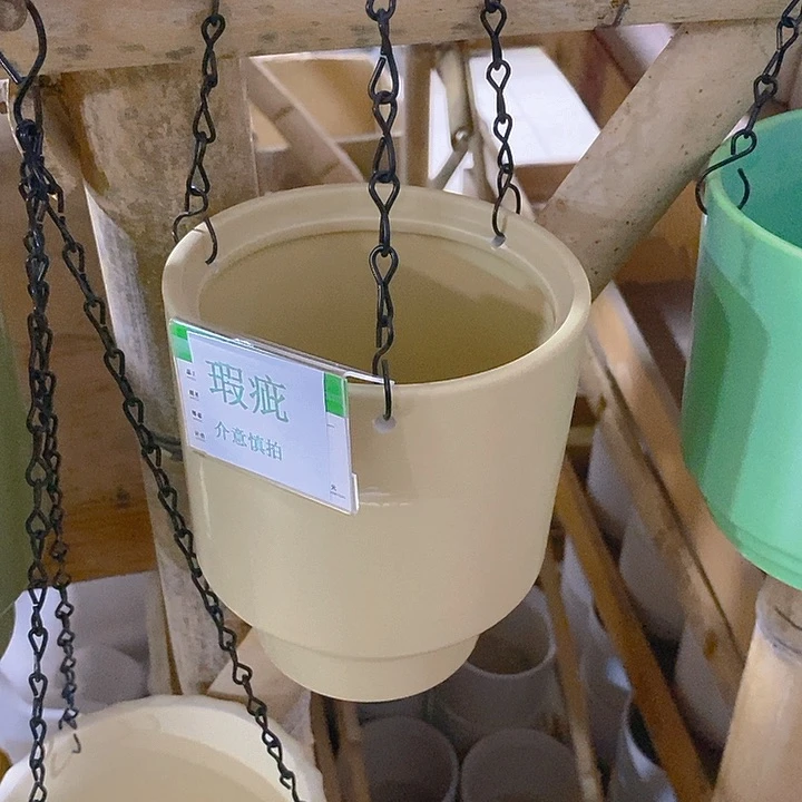 摆件多肉瑕疵盆有孔。