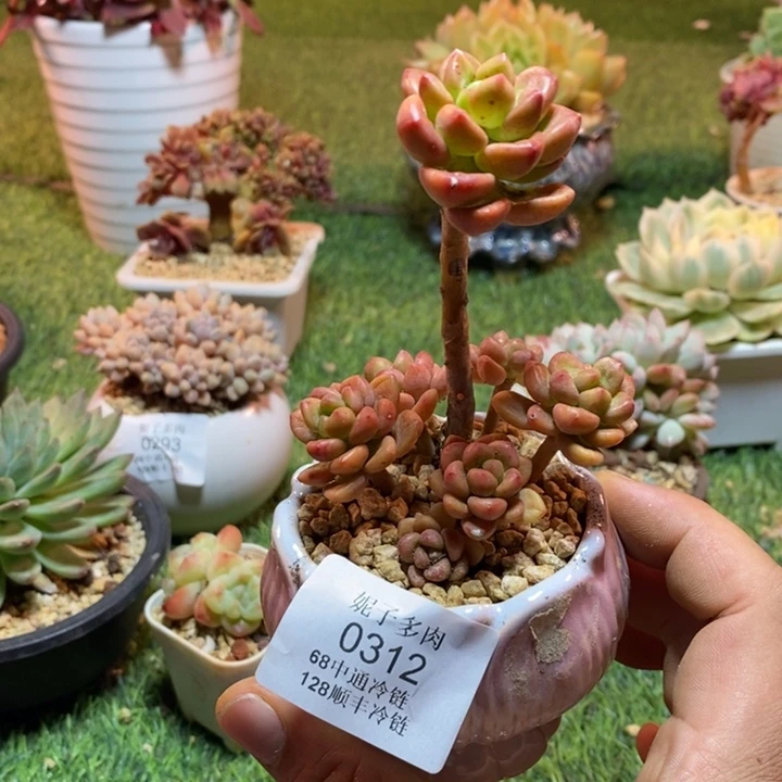 0312啊啊啊啊啊啊啊啊啊