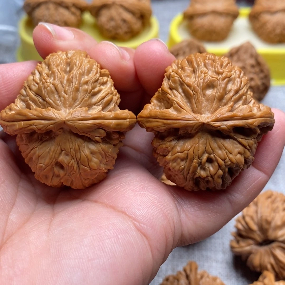 文玩核桃把件42红皮白狮子毕业