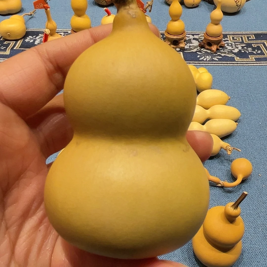 木l****t葫芦等经济林木生长于