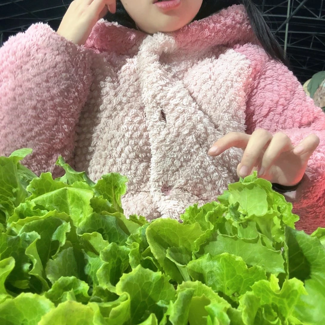 驻***地山东铁杆大葱苗种植