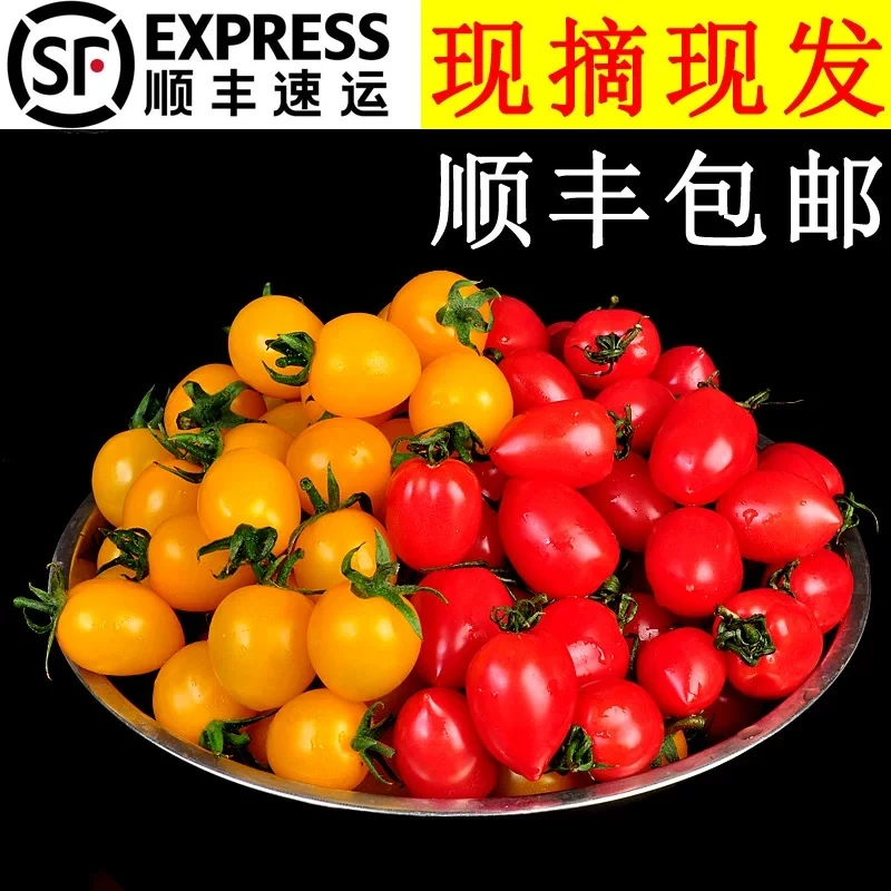 新鲜红黄色樱桃小番茄水果小西红柿千禧果黄金圣女果3斤顺丰包邮