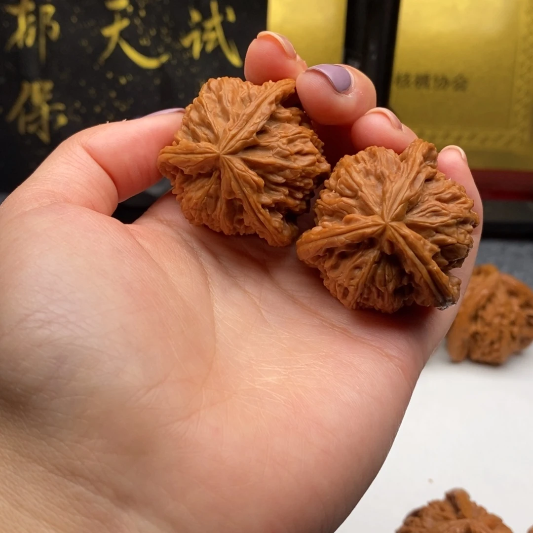 嘿**友白狮子111111111