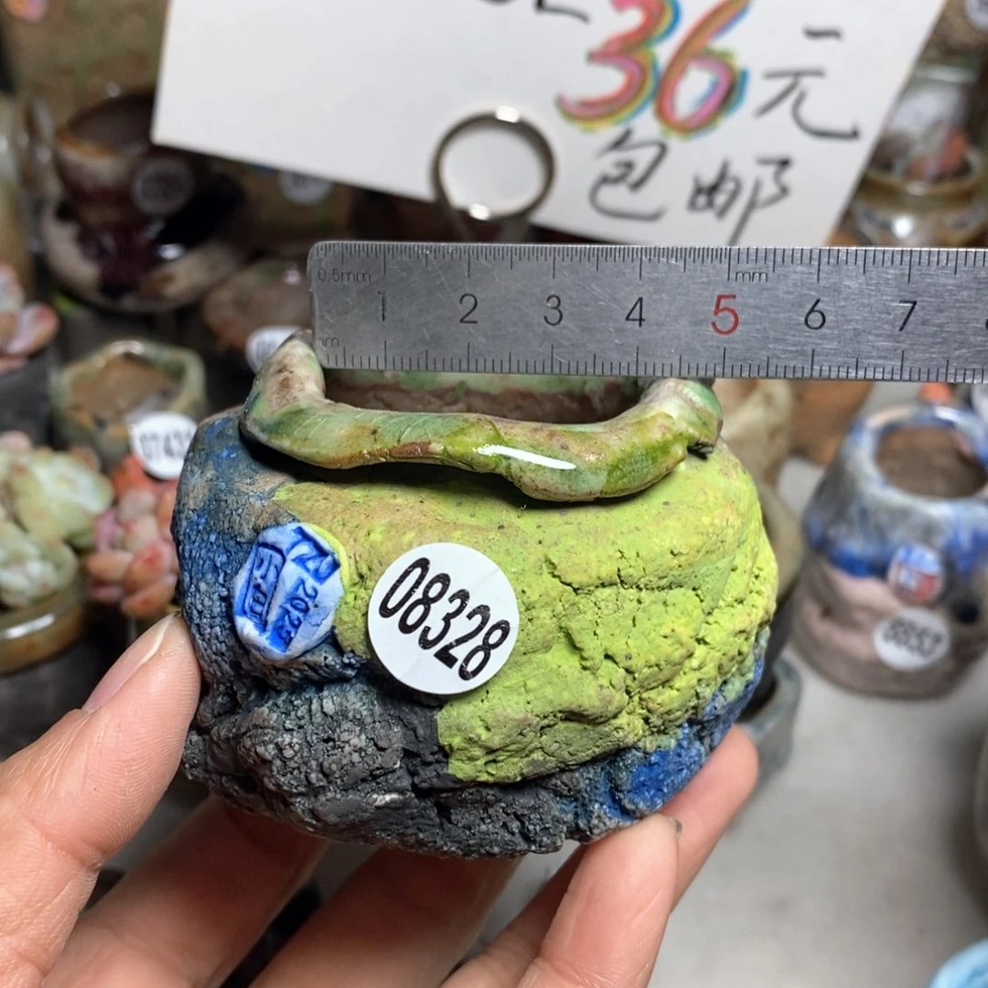 花盆拍1送一个小礼物