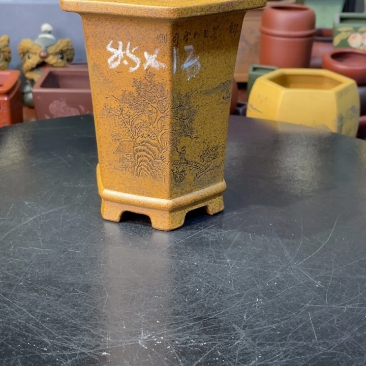 花盆紫砂这个时候才