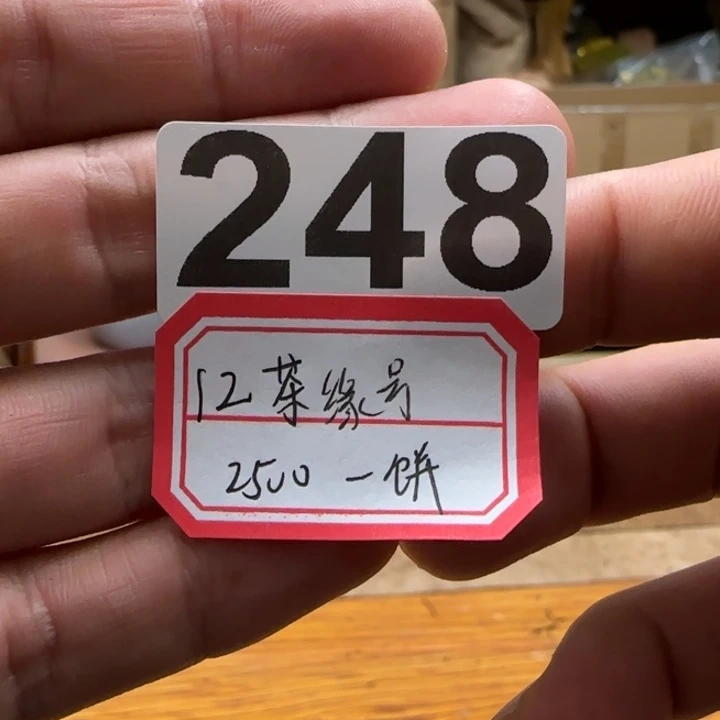紫砂茶壶248………………