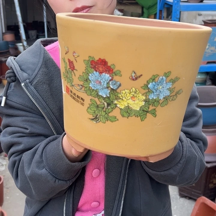 花开富贵小一个花盆花盆花盆花盆