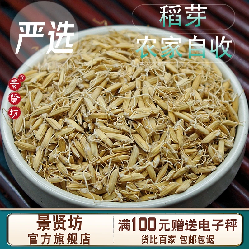 稻谷芽生谷芽中药材生稻芽 煮水谷芽非炒谷芽炒稻芽另有生麦芽