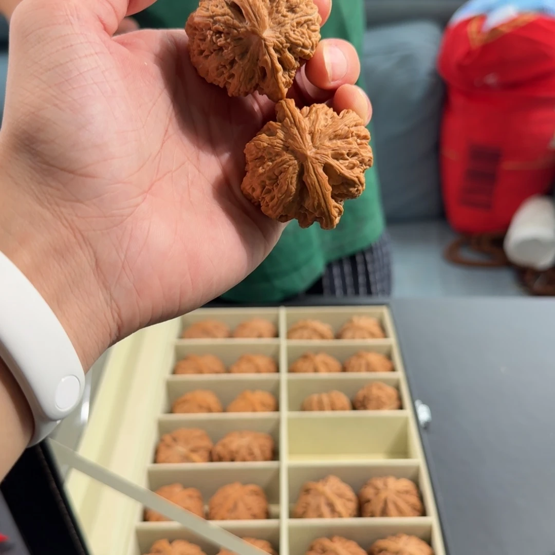 文玩核桃把件238号43mm大粗筋