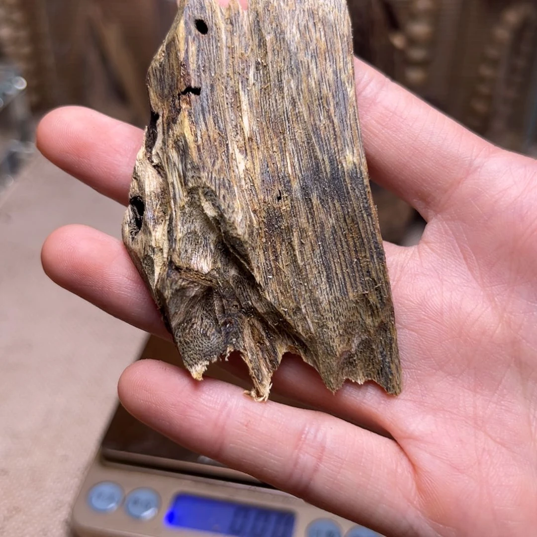 香榧木海南绿奇13克