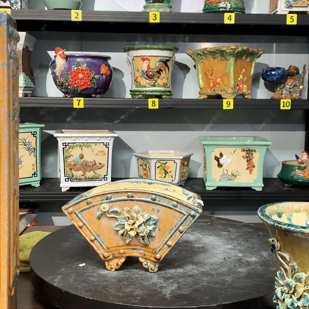 红****盆景园林盆景人类