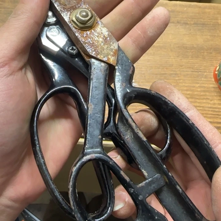 荔**念哈哈哈哈哈哈哈哈