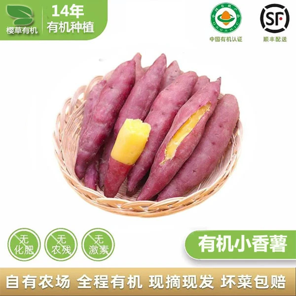 顺丰包邮蜜薯顺丰包邮正宗番薯地瓜正宗红薯黄心薯沙地黄心红薯