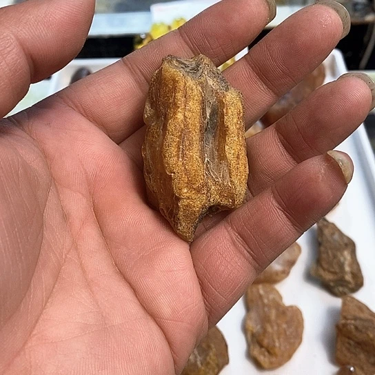 琥珀裸石未镶嵌高*