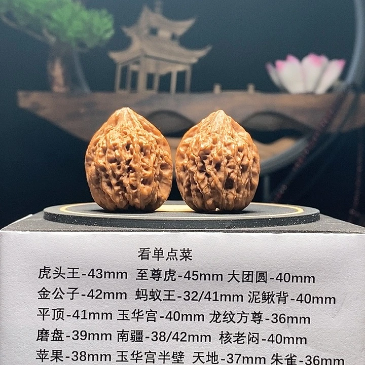 核桃手串/手链A鸭嘴兽26