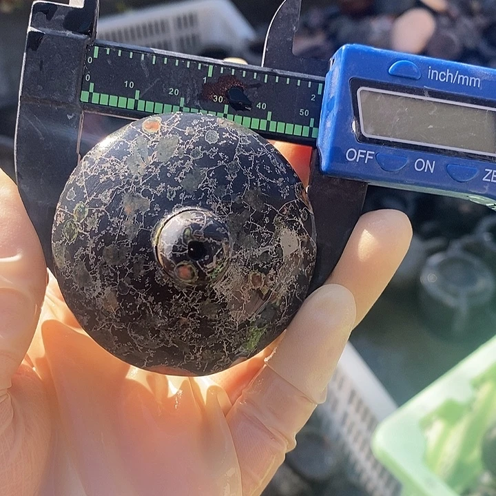 梅花玉精美福利多多