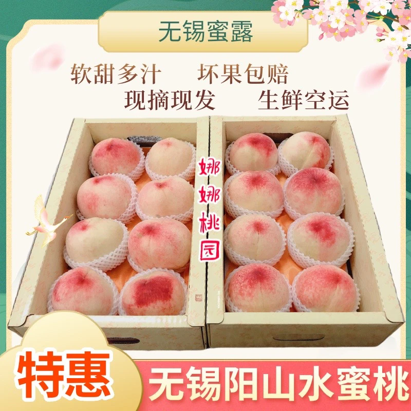 【桃卡 白凤桃1斤】正宗无锡阳山水蜜桃自产自销新鲜水果软甜多汁