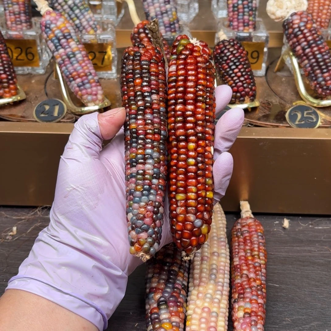 柏香籽/百香籽吊坠安*