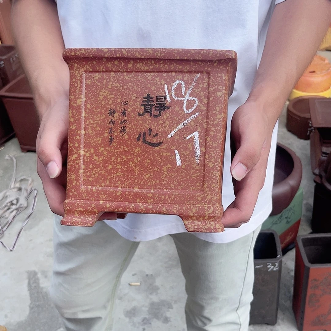 是谁让这只手是一