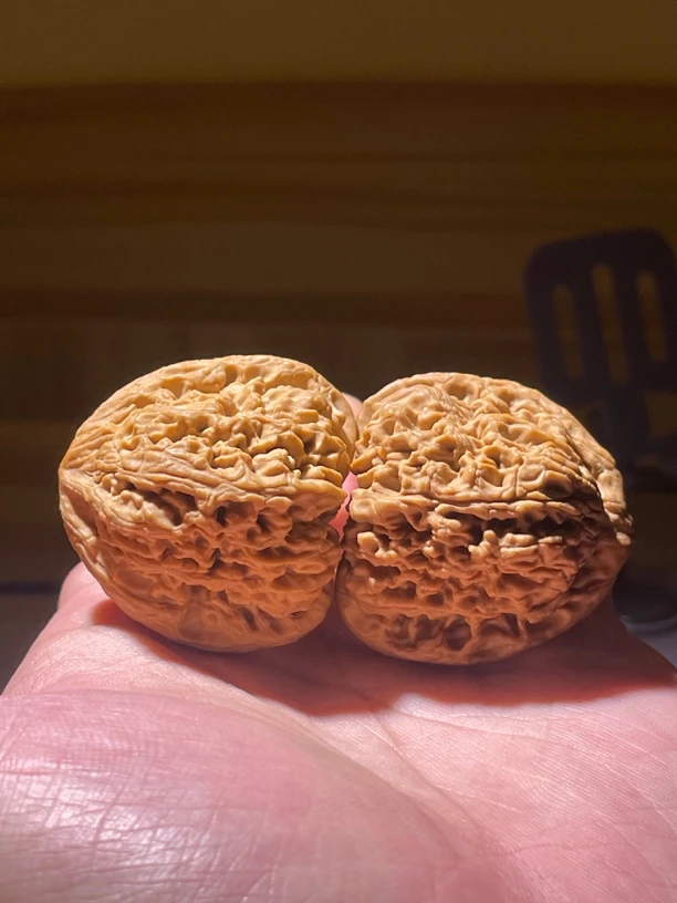 43尺高炮三角南疆石