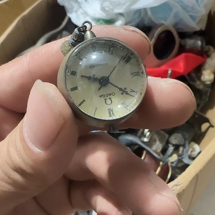 行***运香榧木vhghvhvhvhvbv