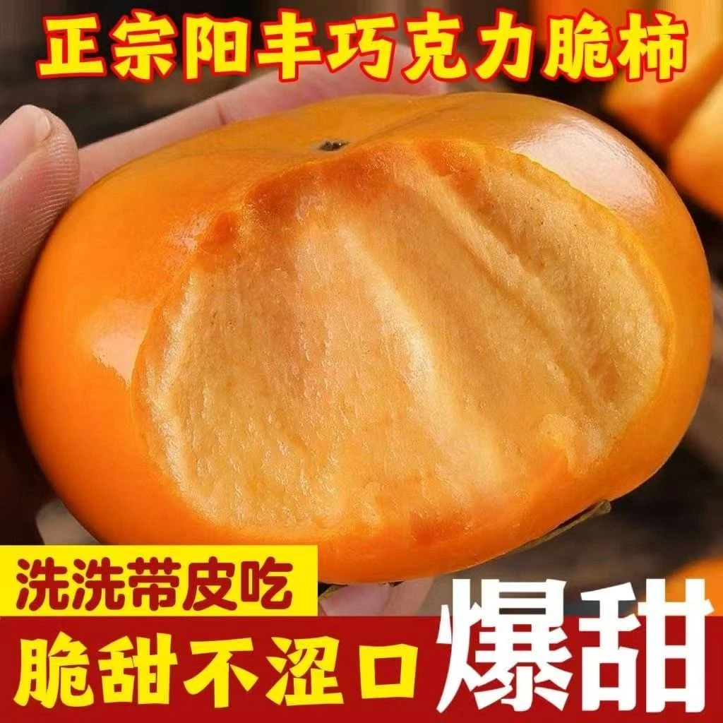 正宗阳丰脆柿子当季水果新鲜巧克力甜甜柿冰糖心硬黄柿整箱批发价