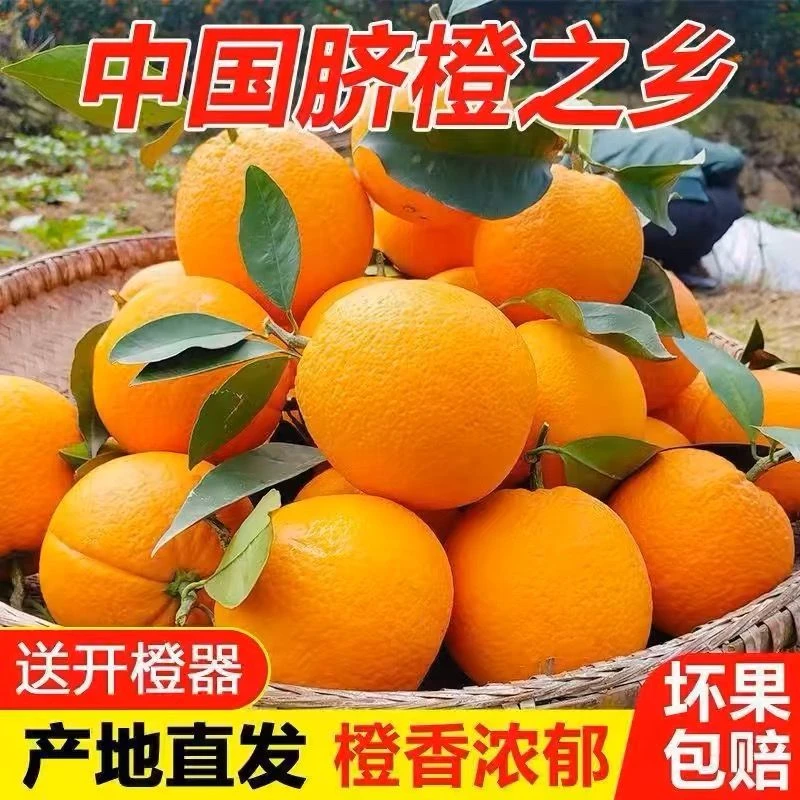 【正宗江西赣南脐橙】特产水果装现摘现发新鲜橙子多仓发货-小金