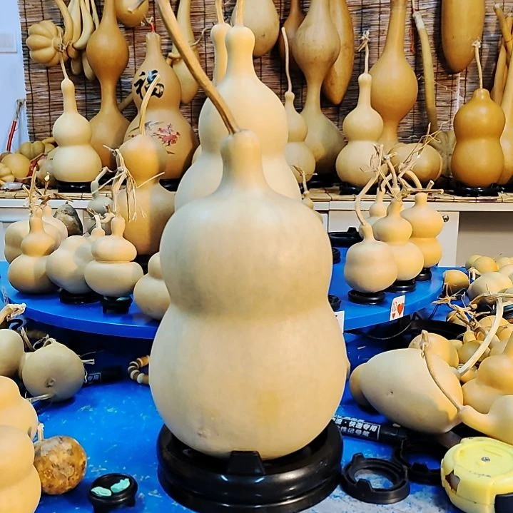 A****他他他他他他他他他他他他他