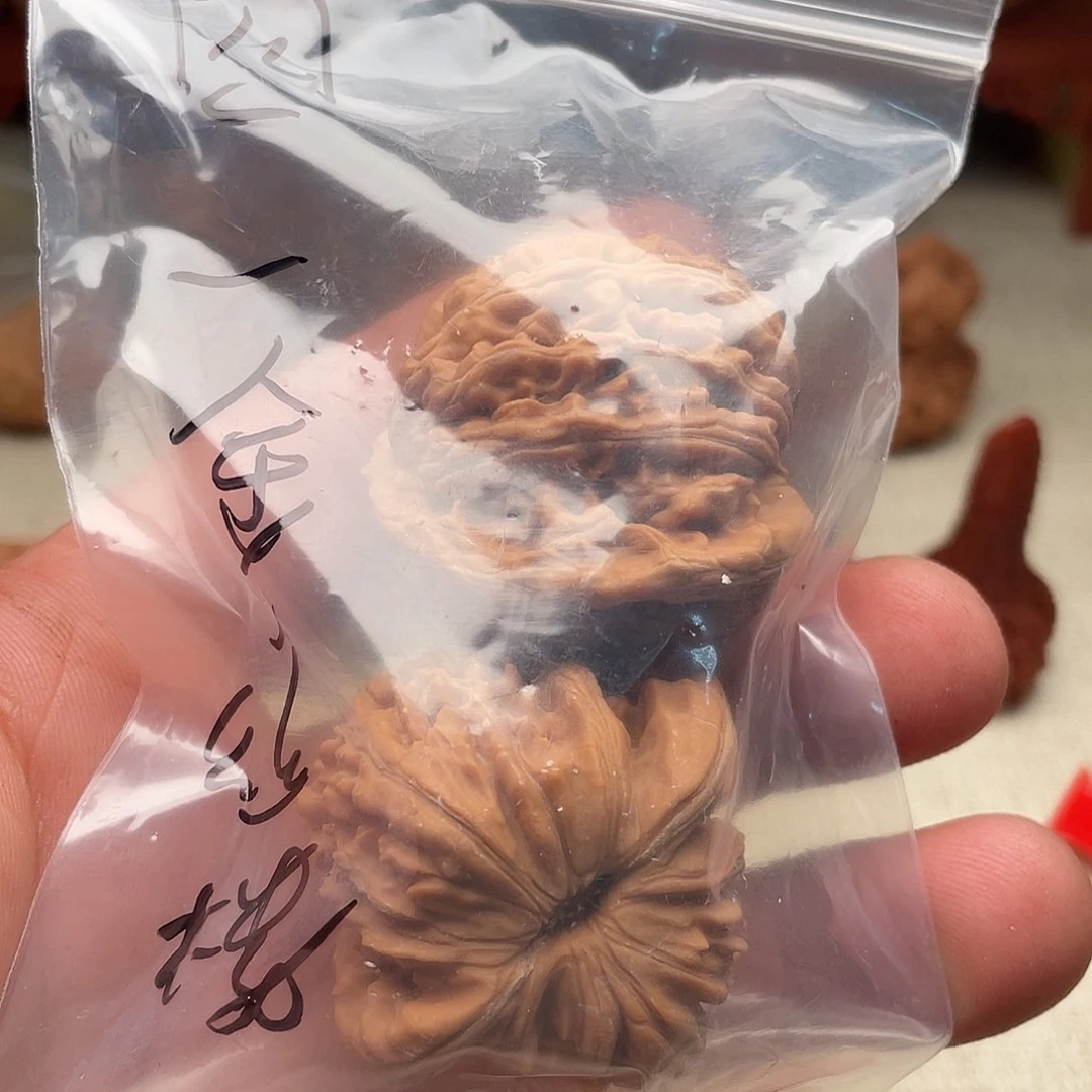 吊坠龙脊菩提金丝楼