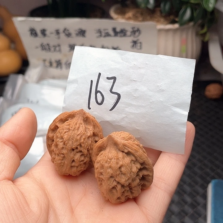 32+尺寸白茬小众观音渡