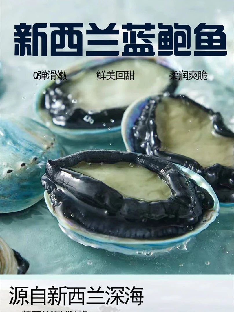 新西兰蓝壳鲍鱼新鲜冷冻特大鲍鱼澳洲鲍鱼黄金鲍网红海食材兰花蟹
