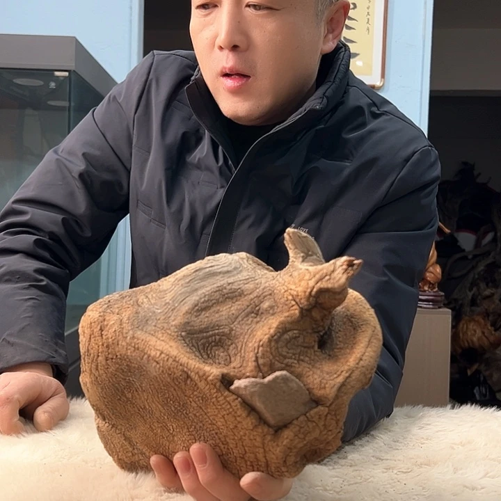 柏木苹*心我们都是好孩子呀我也是想