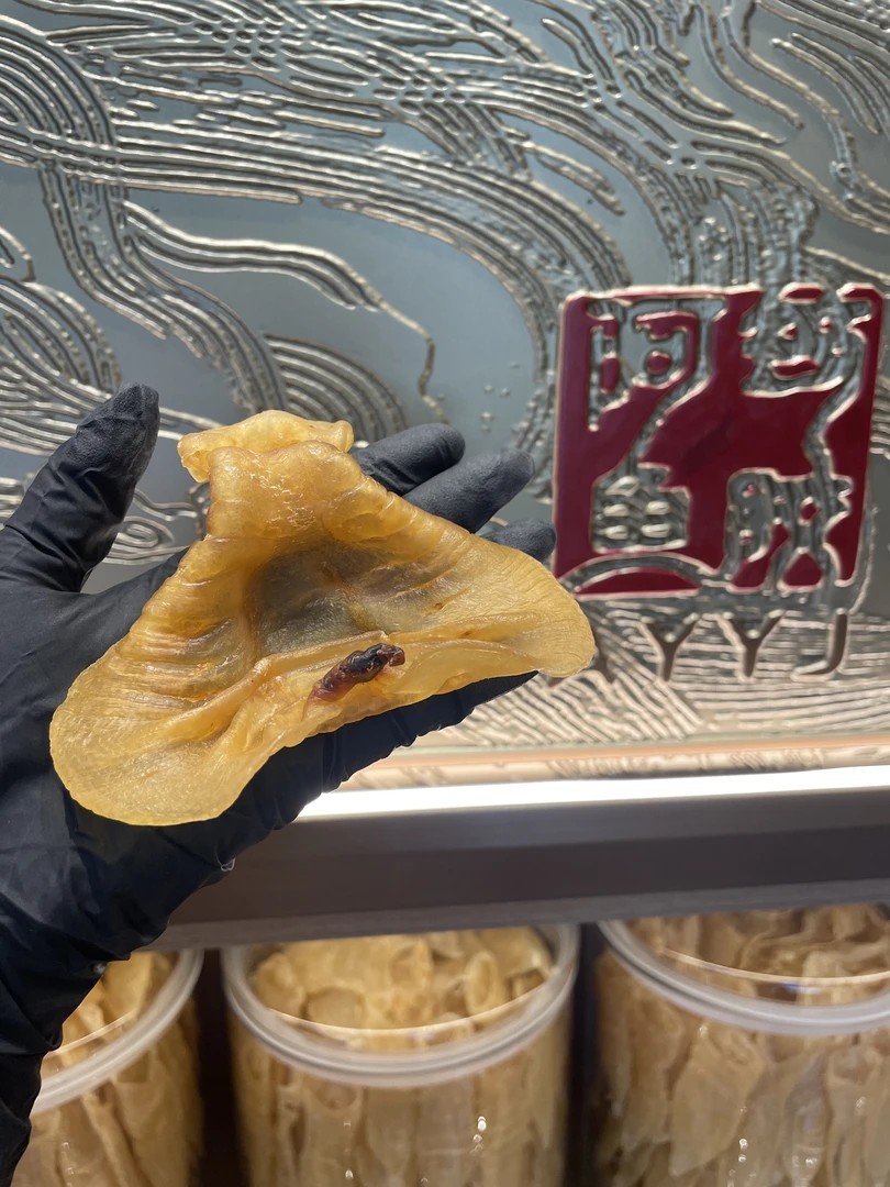 本港赤嘴鳘公母胶.白花胶.鳗鱼胶.直播间现拍现称10克-500克改价