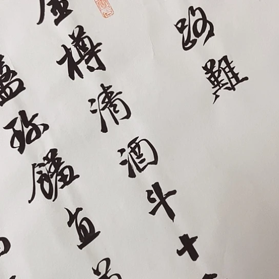 书法张建东老师书法作品