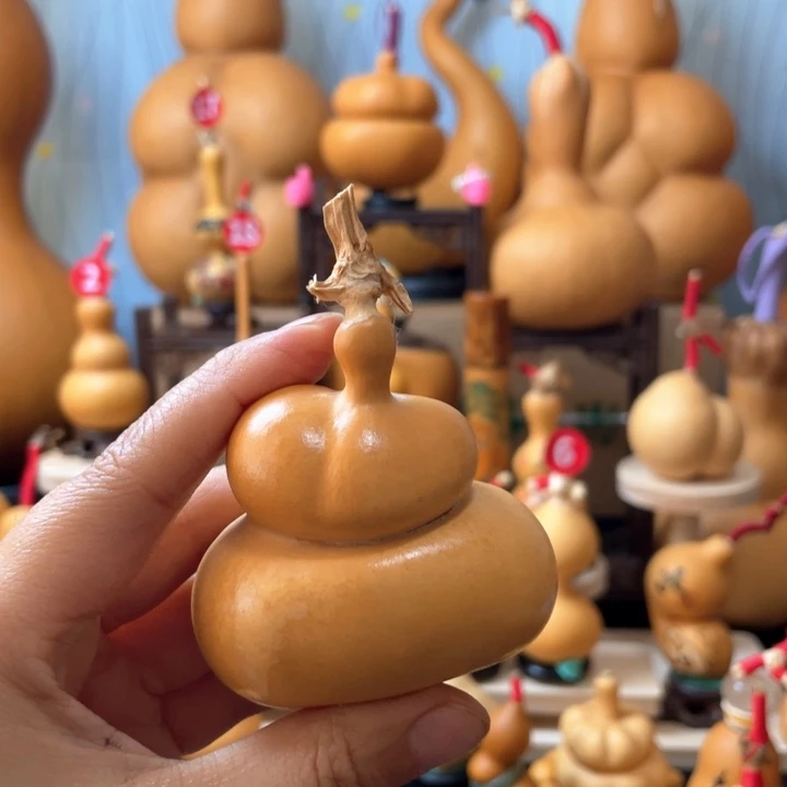 李***宾葫芦岛市、哈吉登不在