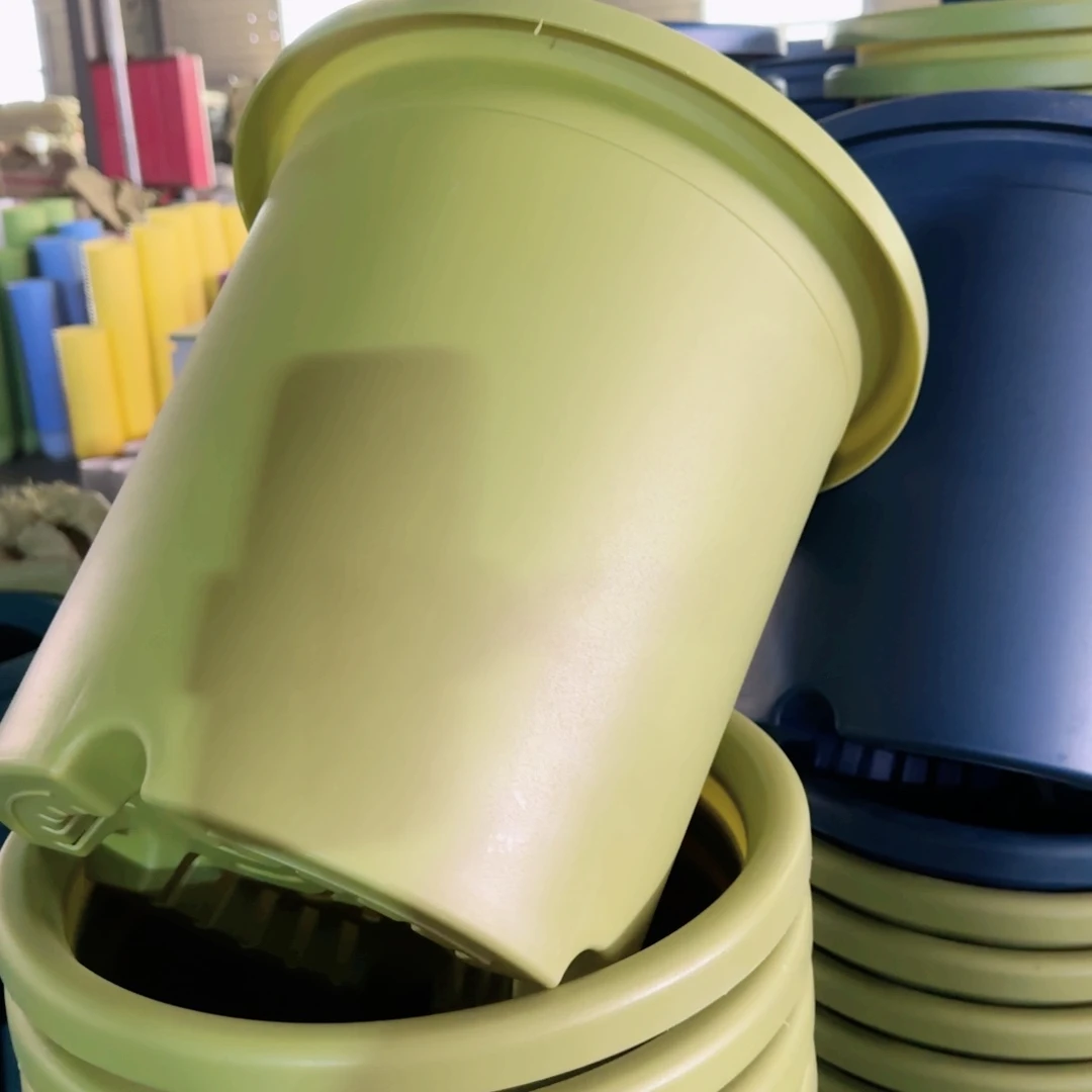 树脂特价7#无拖果绿6个