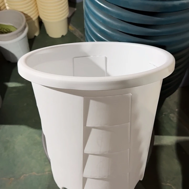 测40口径5个白色无托