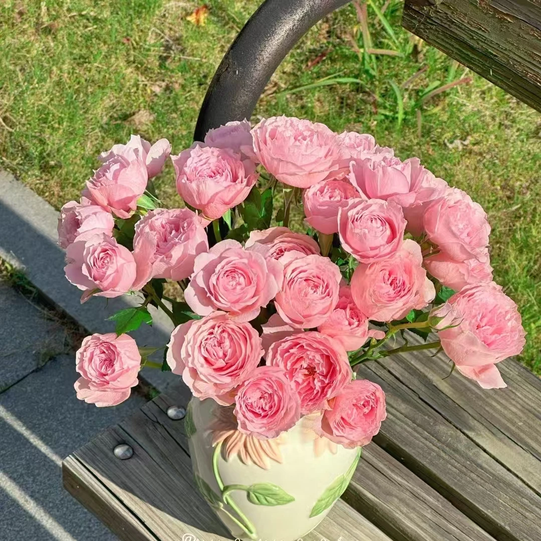 【轶11】玉脂多头玫瑰9支+1支防损鲜切花玫瑰收到花带包装醒花