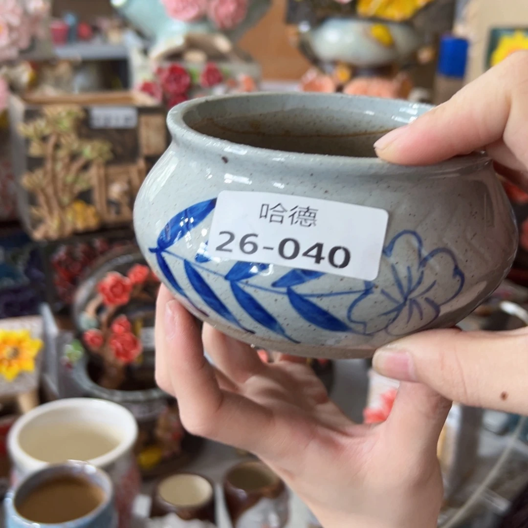 2640 拍满18.8米包邮发货