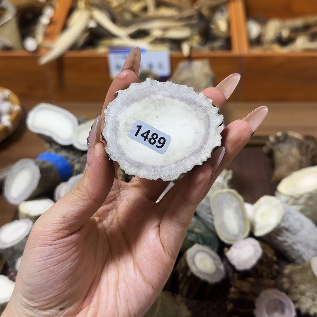 手串/手链鹿骨1489片