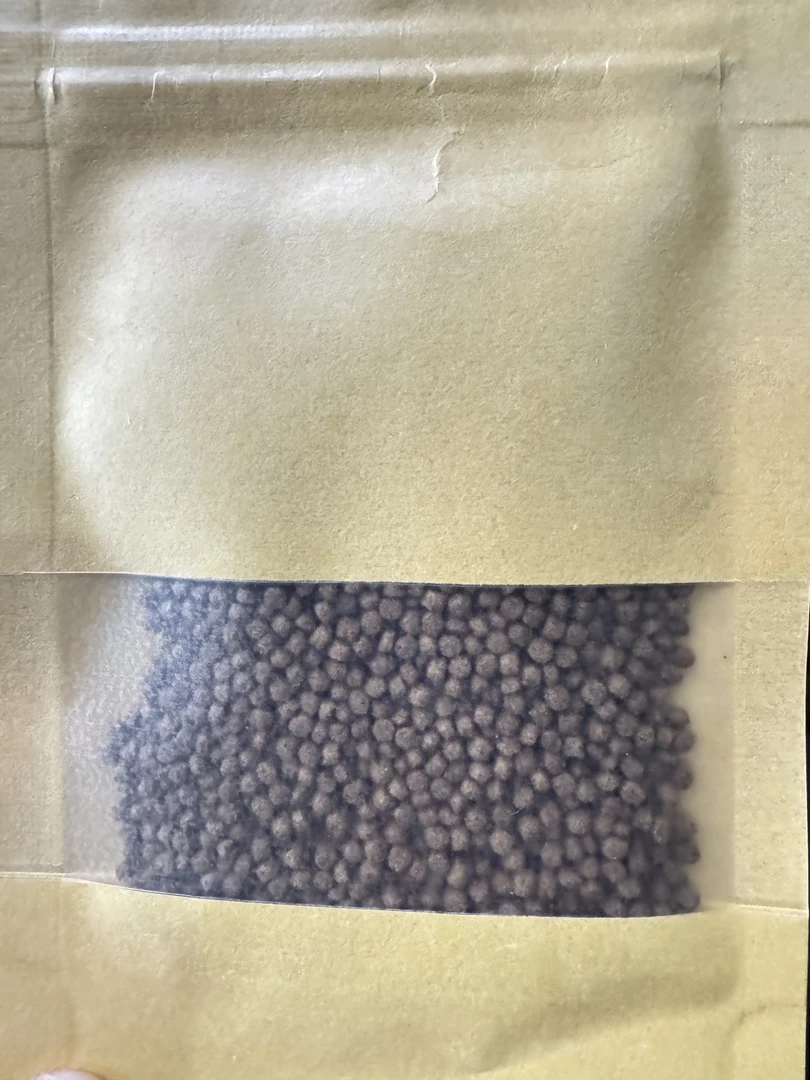 贵妃蝴蝶鲤专用粮