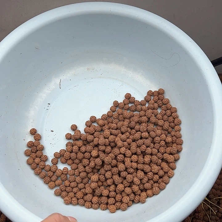 金刚菩提手串古*字好评