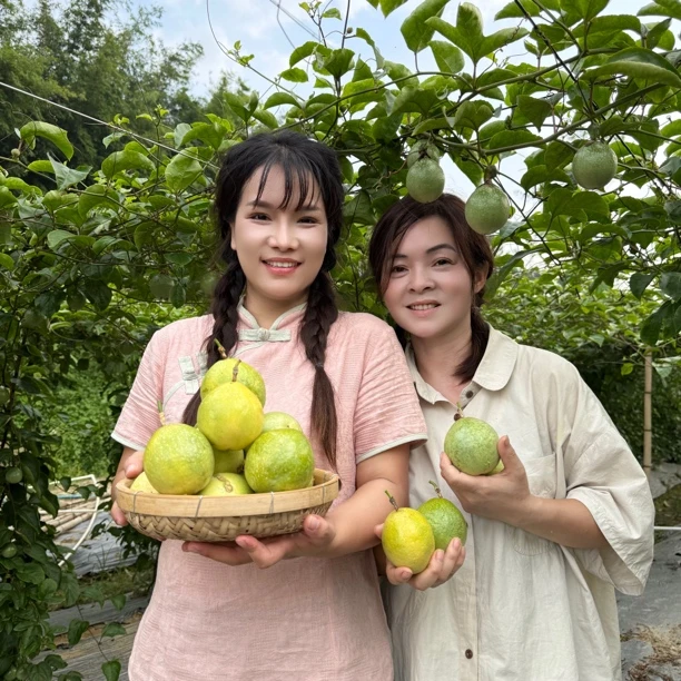 钦蜜9号黄金百香果鲜甜多汁饱满当季新鲜水果