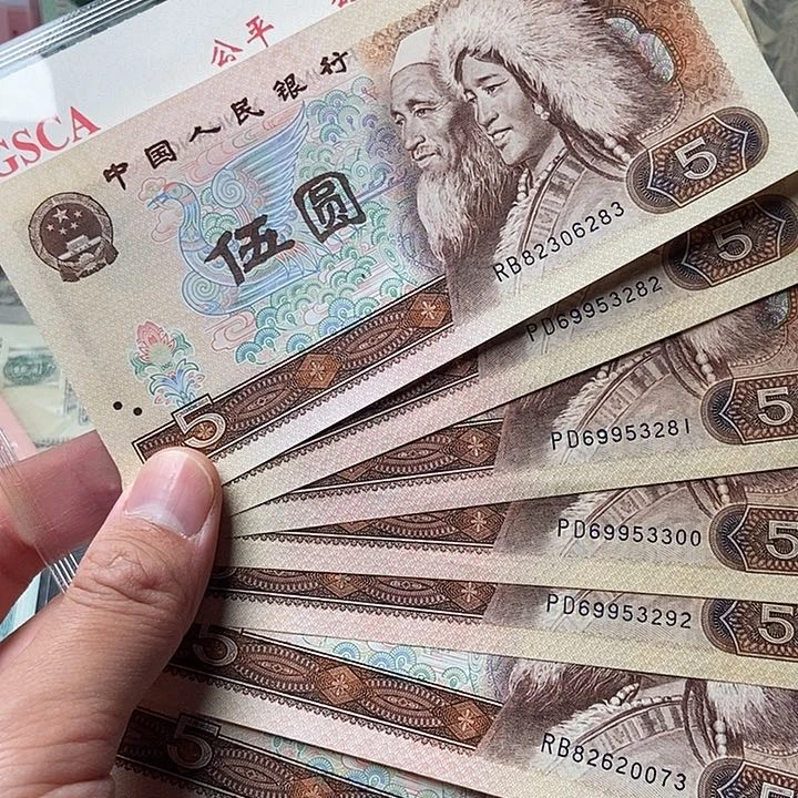 苍松7张0000000000000000033