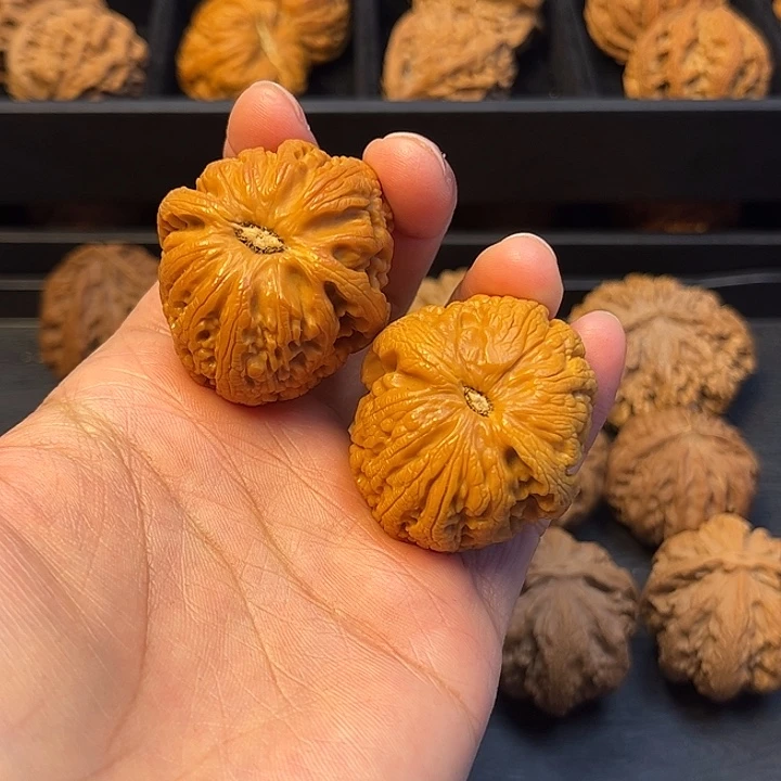 核桃秦岭突突突突突突26