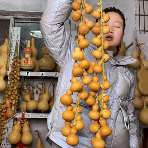 胡*贝天然植物葫芦文玩