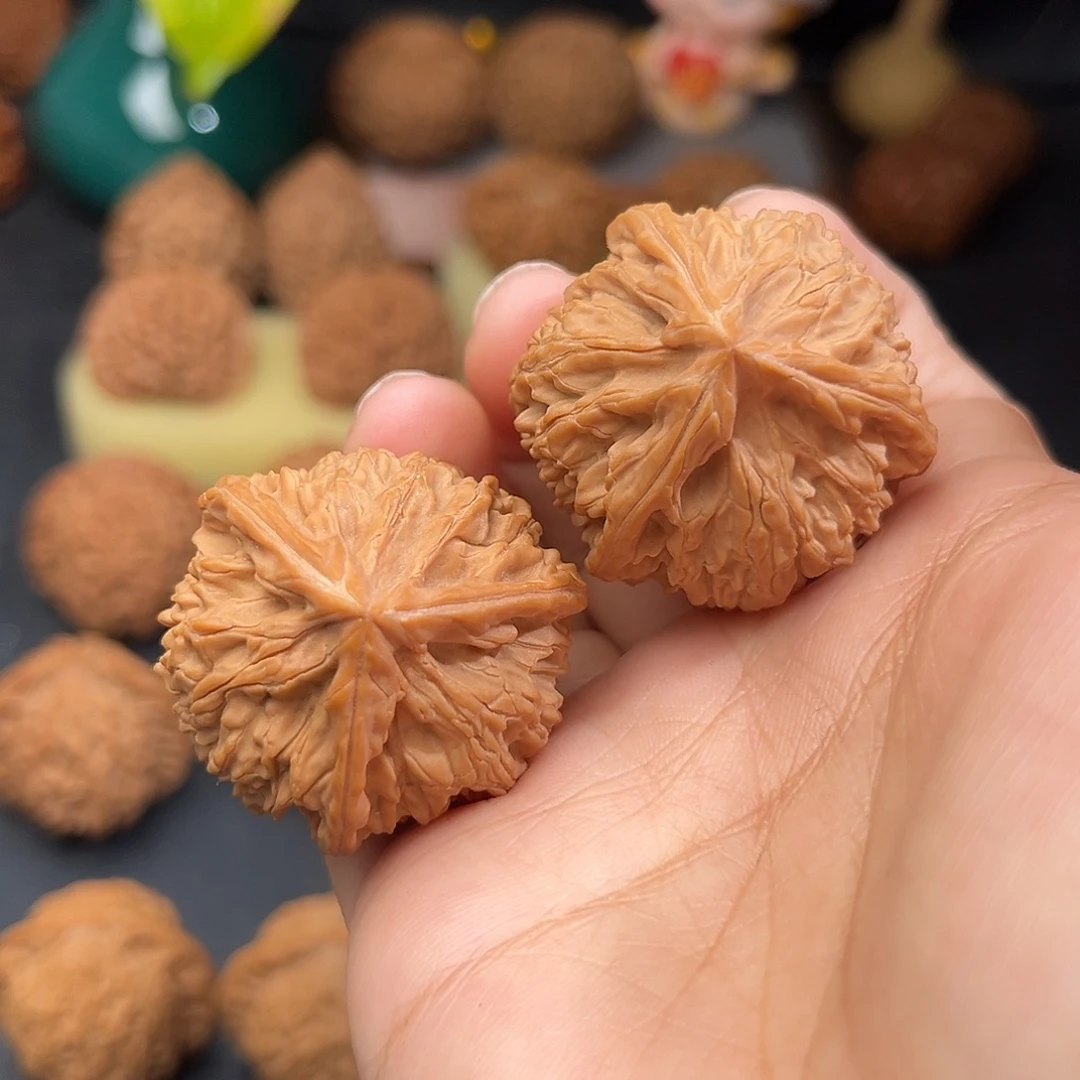 文玩核桃把件文山正本全品36