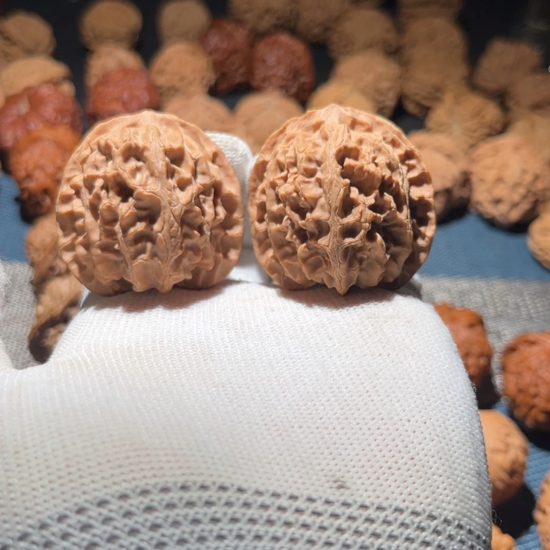 八***间核桃41.5苹果园狮子头全品