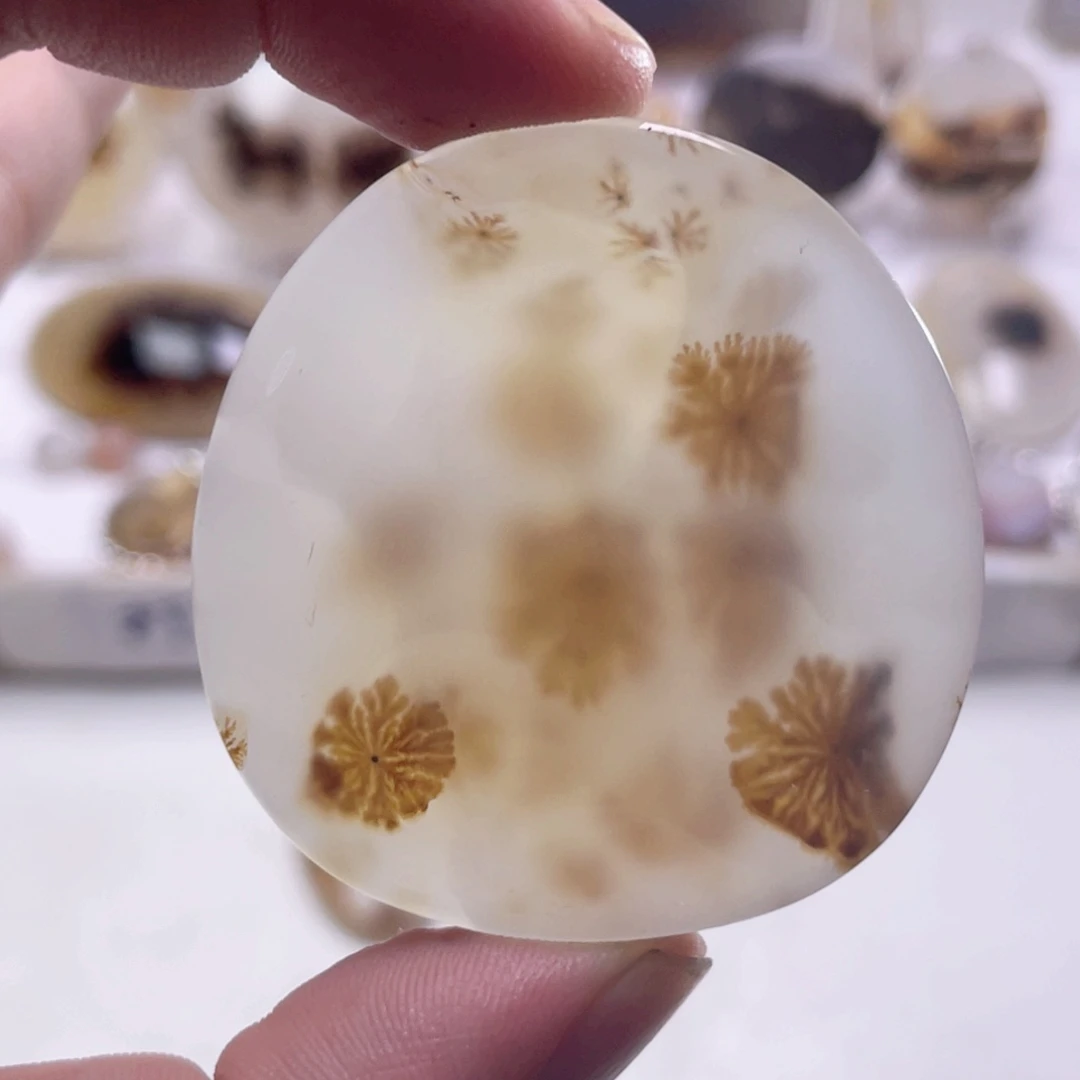玛瑙/玉髓颈饰合金